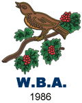 west bromwich albion crest 1986