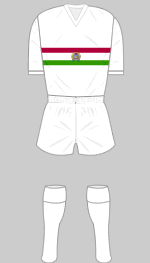 hungary 1964 european nations cup kit